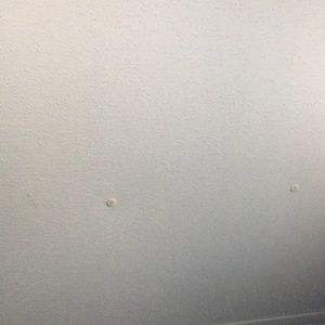 Meet your Posher, Liliana